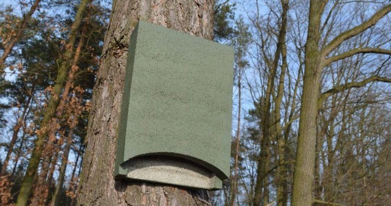 budka dla nietoperzy ornitolog szczecin
